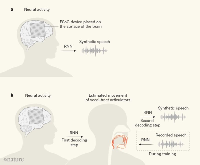 华裔科学家成功解码脑电波，AI直接从大脑中合成语音插图(3)