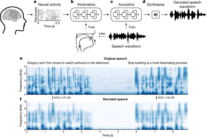 华裔科学家成功解码脑电波，AI直接从大脑中合成语音插图(4)